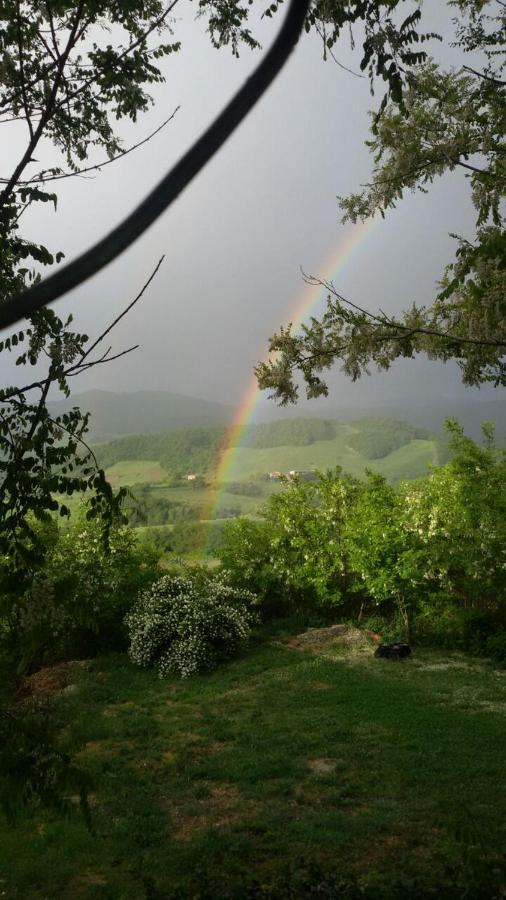 Agriturismo Il Colore Del Grano San Vittore  Extérieur photo