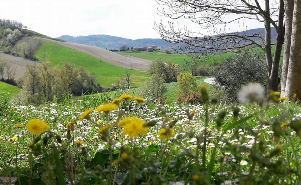 Agriturismo Il Colore Del Grano San Vittore  Extérieur photo