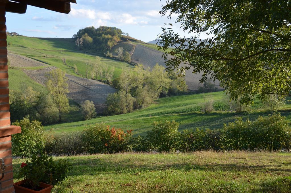 Agriturismo Il Colore Del Grano San Vittore  Extérieur photo